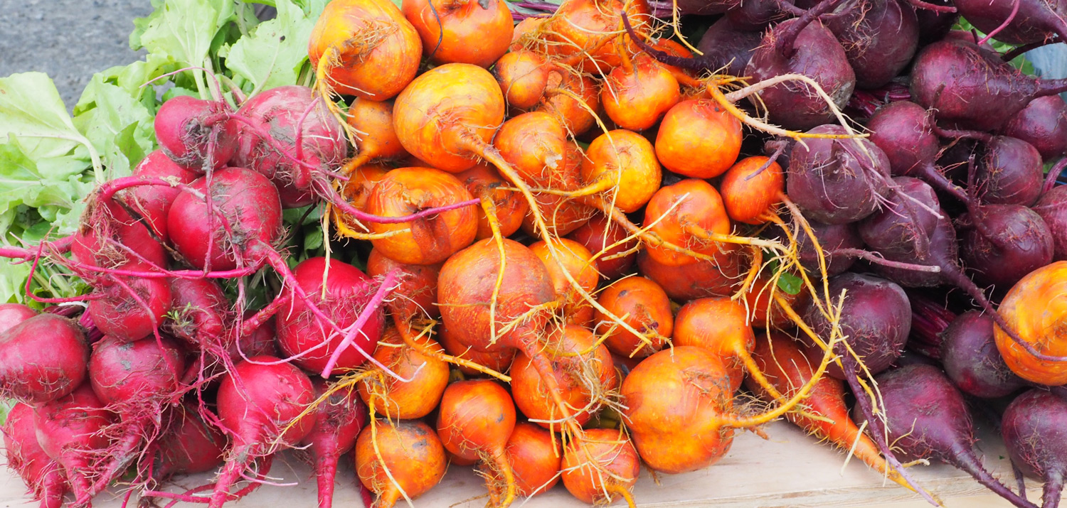 Kimberley Farmers’ Market Wildsight