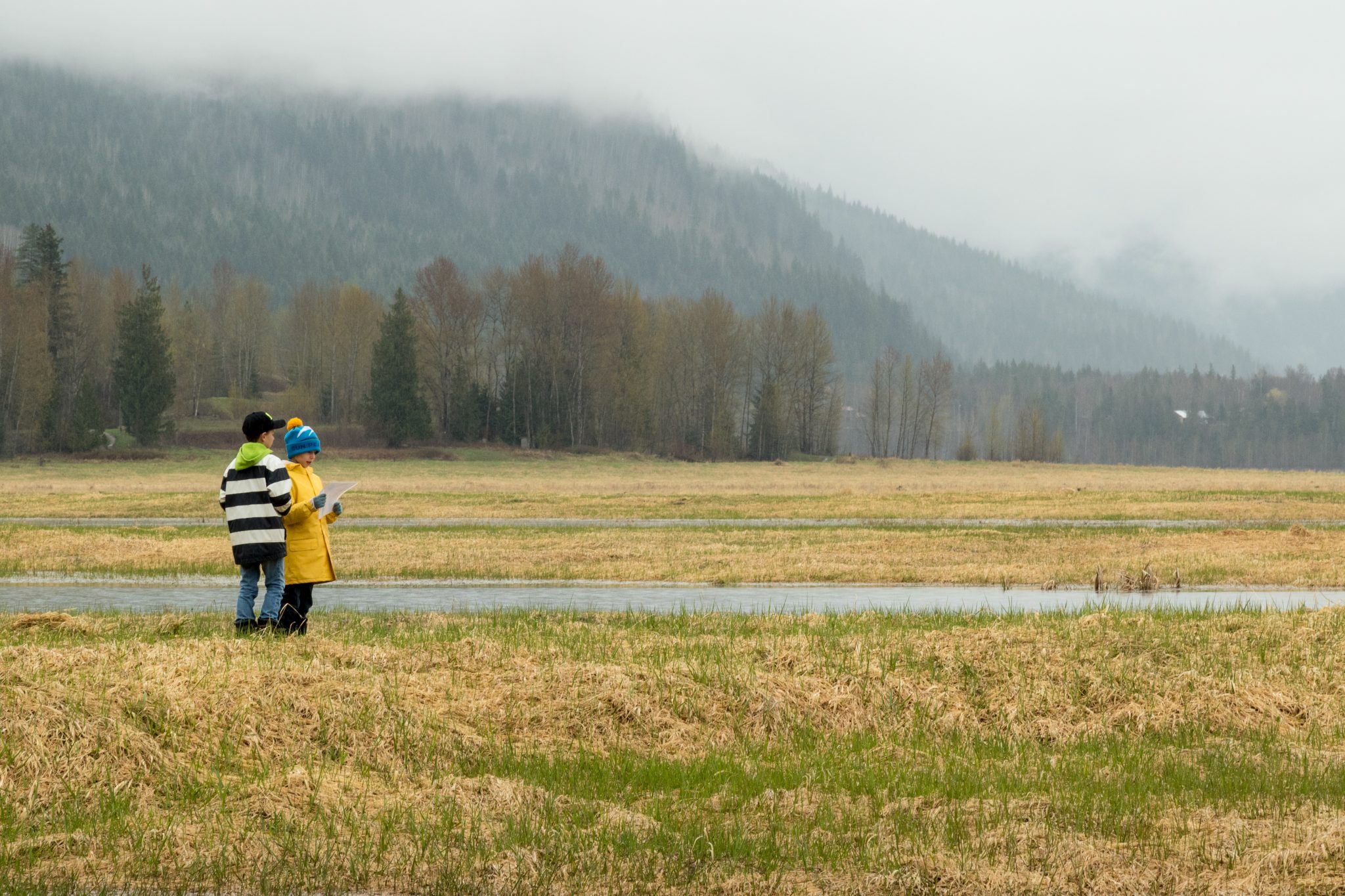 Photo by Michael Royle