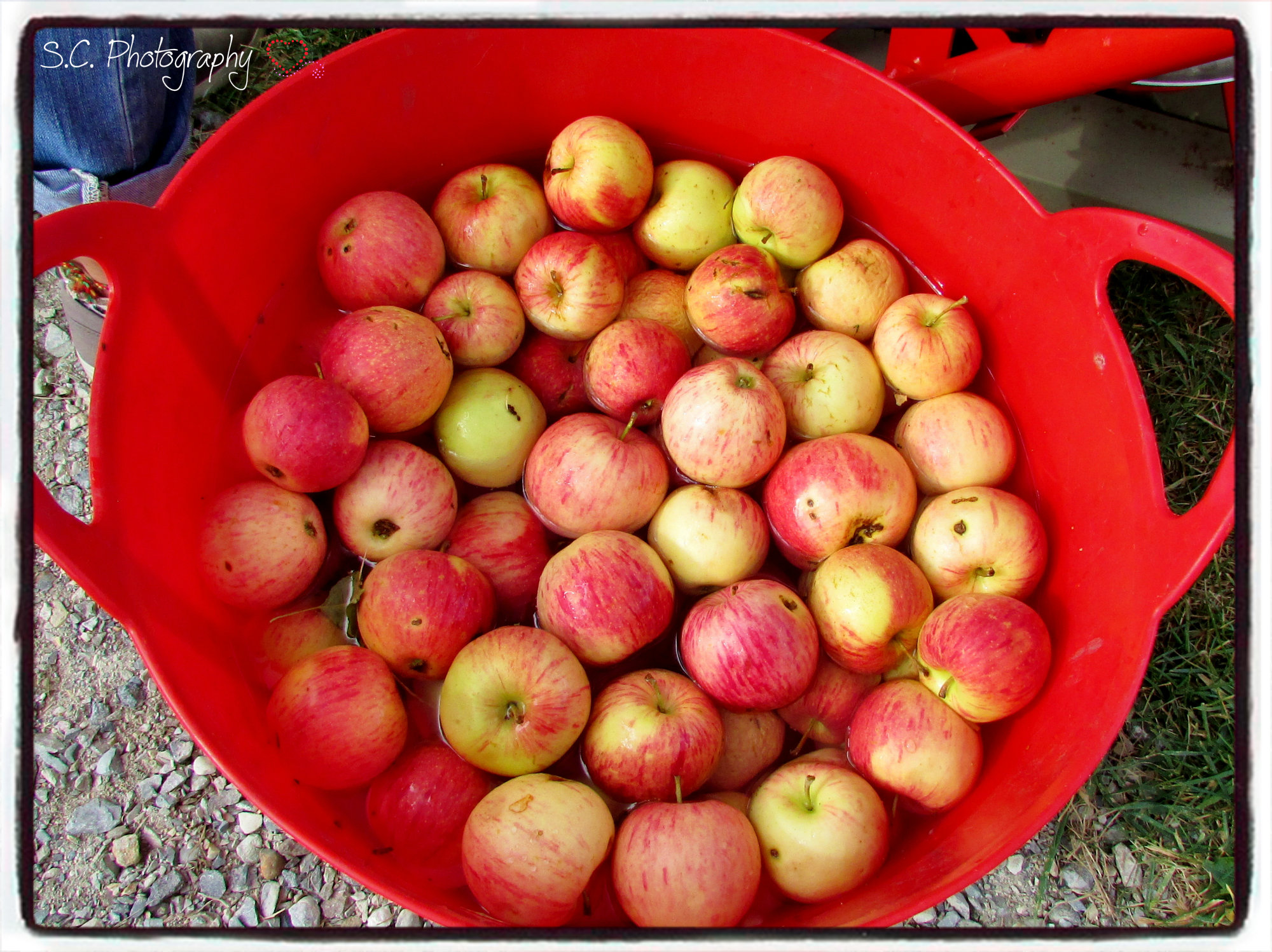 Photo by Susan Cunningham