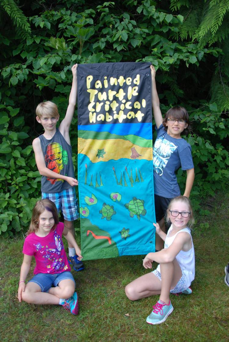 Revelstoke Ecostewards Painted Turtles 4
