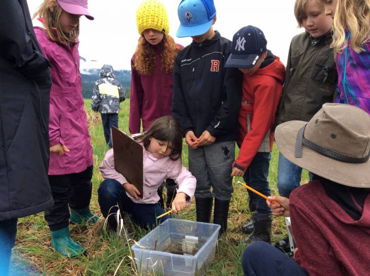 Revelstoke Ecostewards Painted Turtles 2
