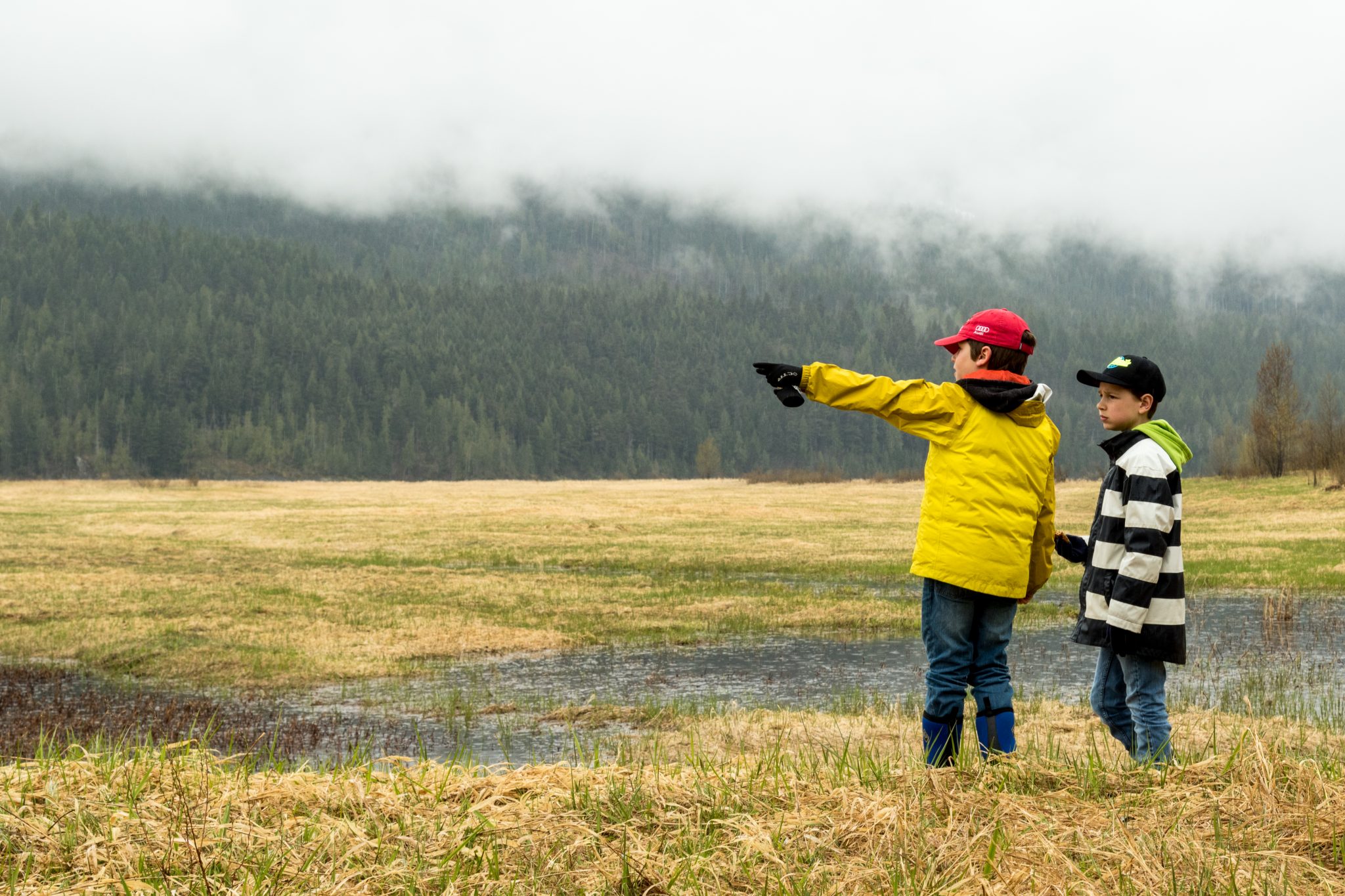 Photo by Michael Royle