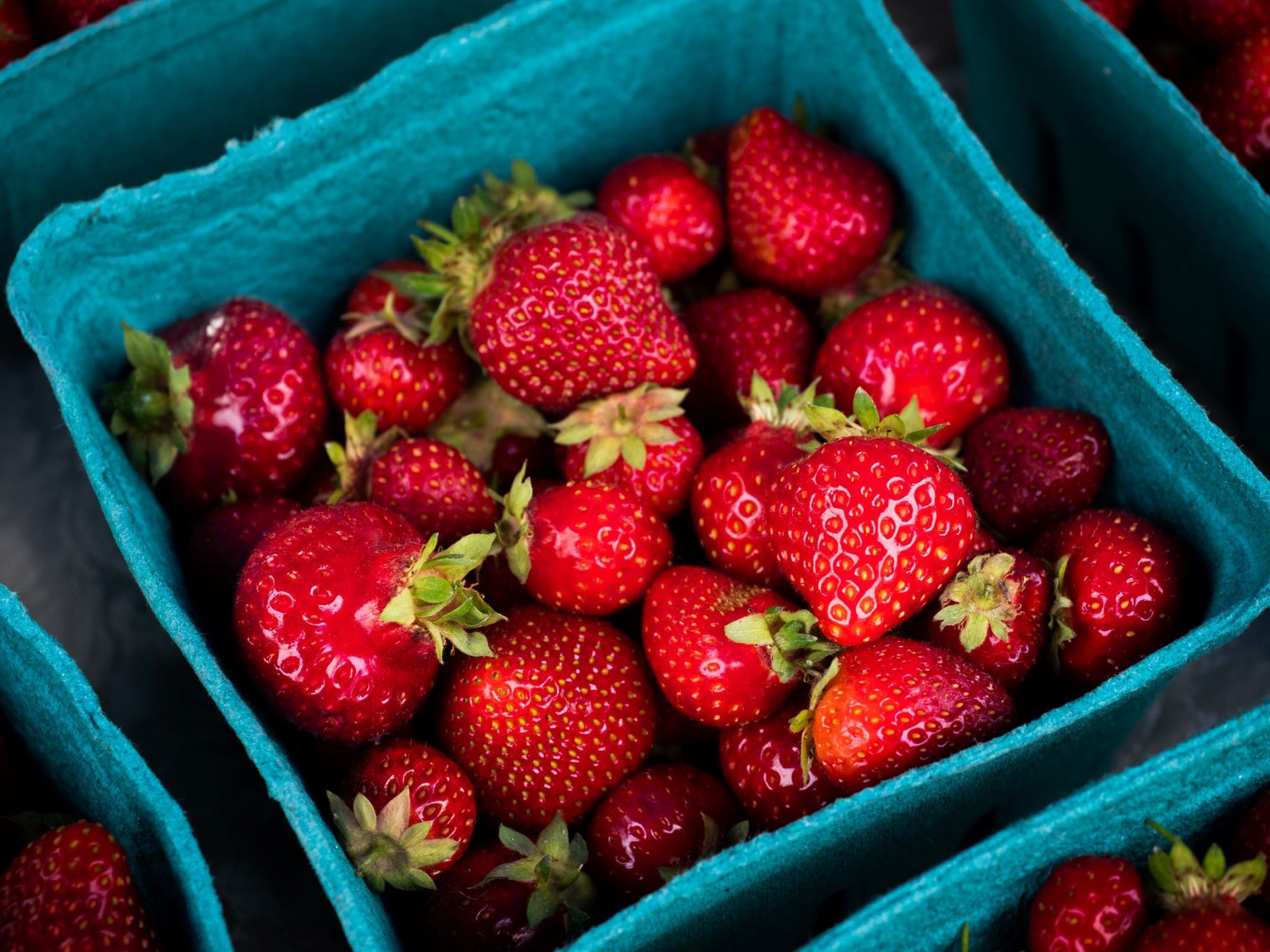 Kimberley Farmers’ Market Wildsight