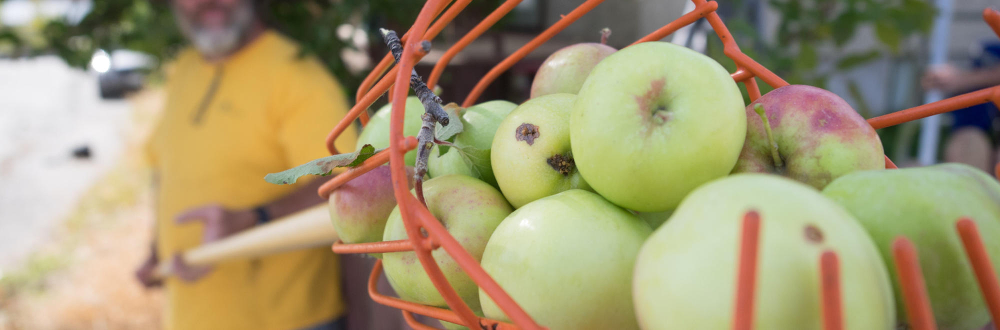 Kimberley-Apple-Capture
