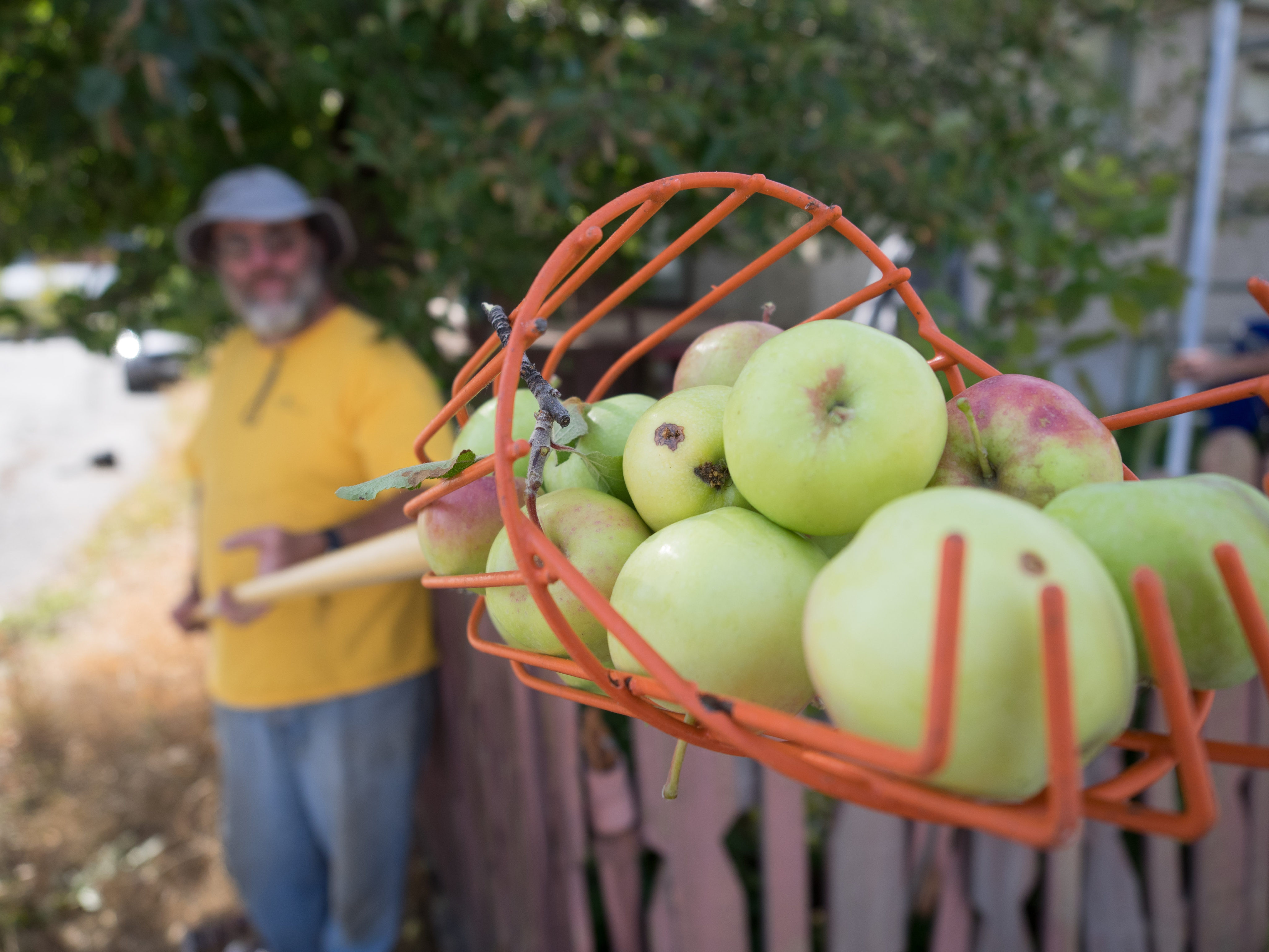 Kimberley-Apple-Capture