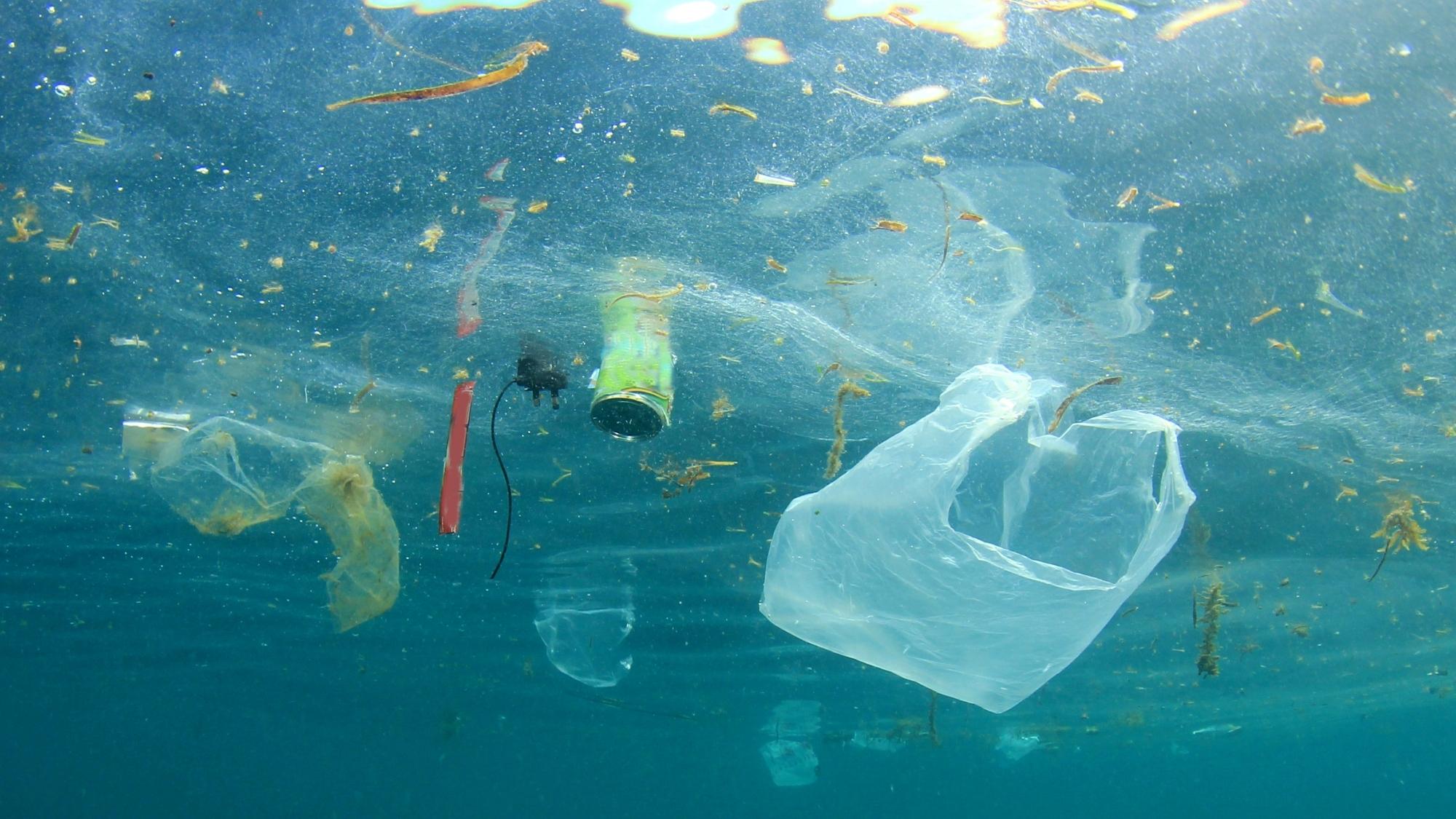 ocean plastics