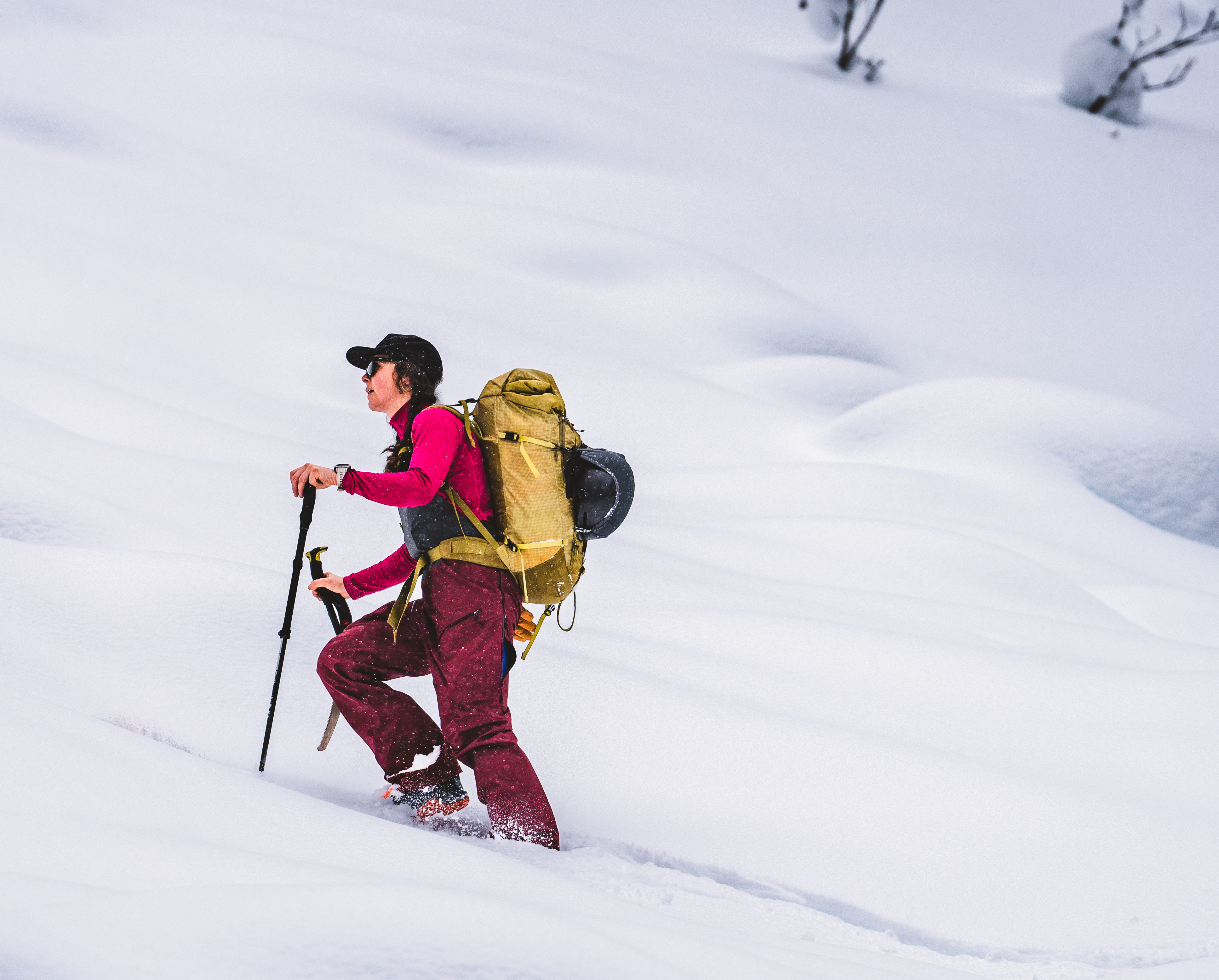 Skiing in the Selkirks.