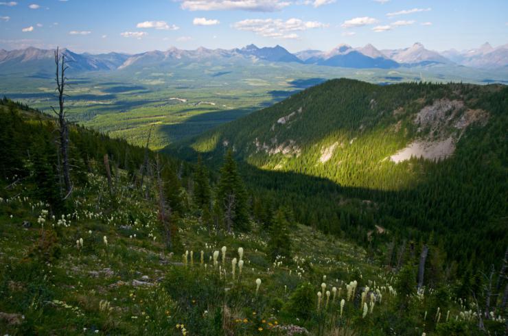 A wild mountain valley