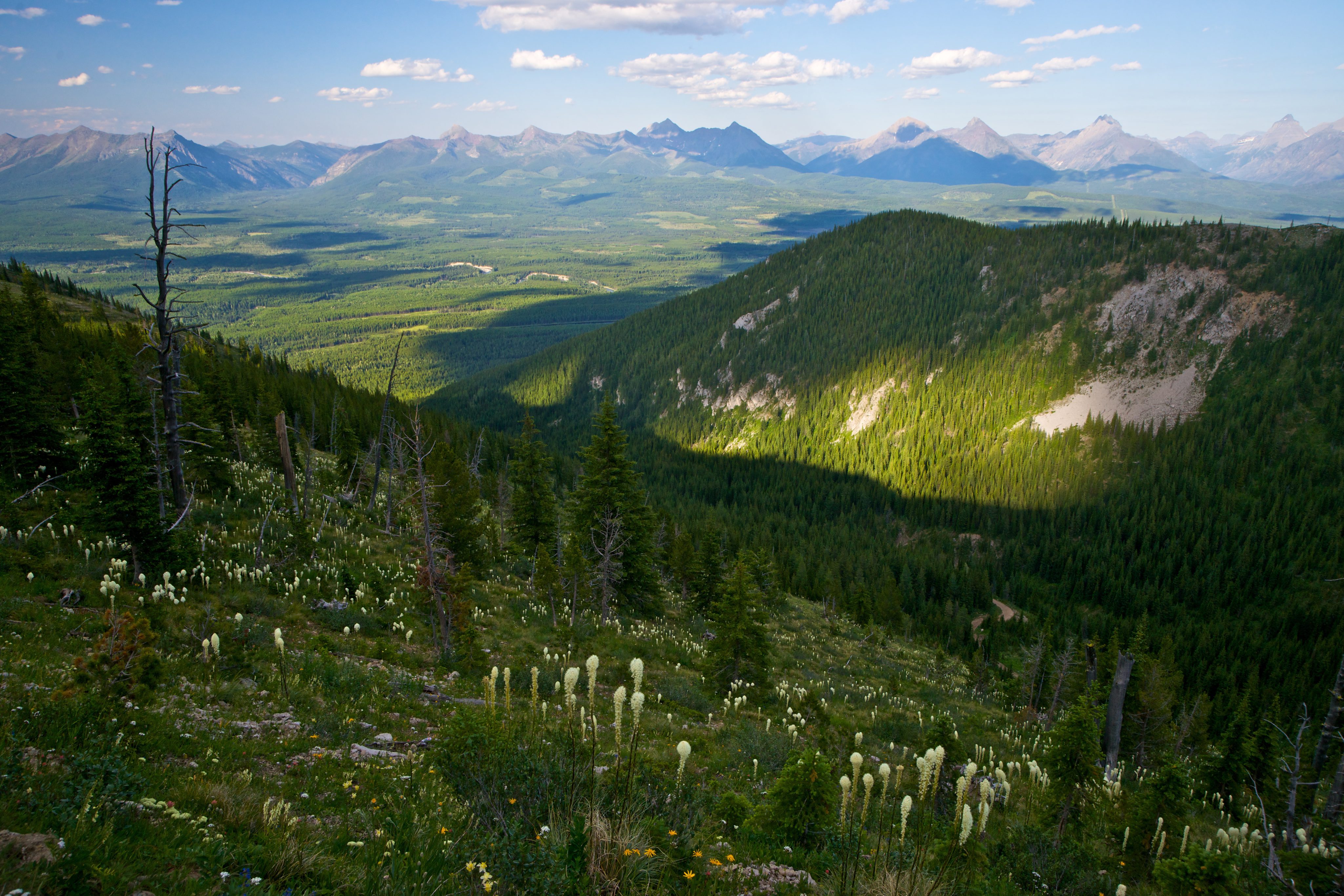 A wild mountain valley