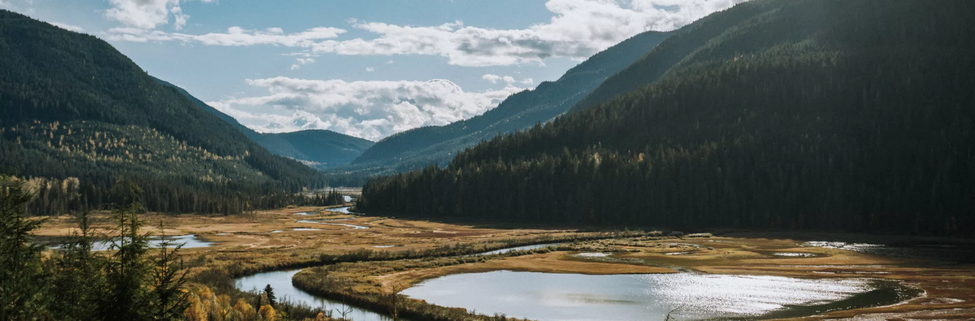 River floodplain