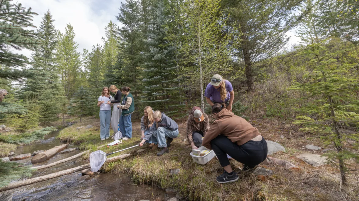 Environmental education 