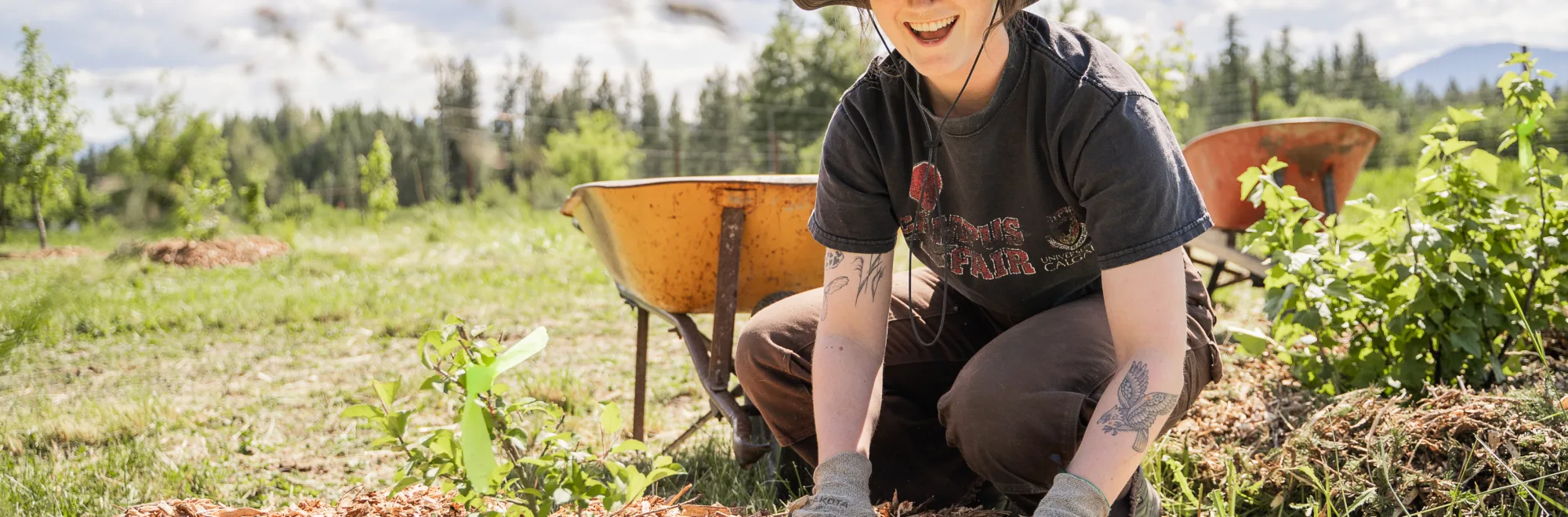 From forest waste to farm resource