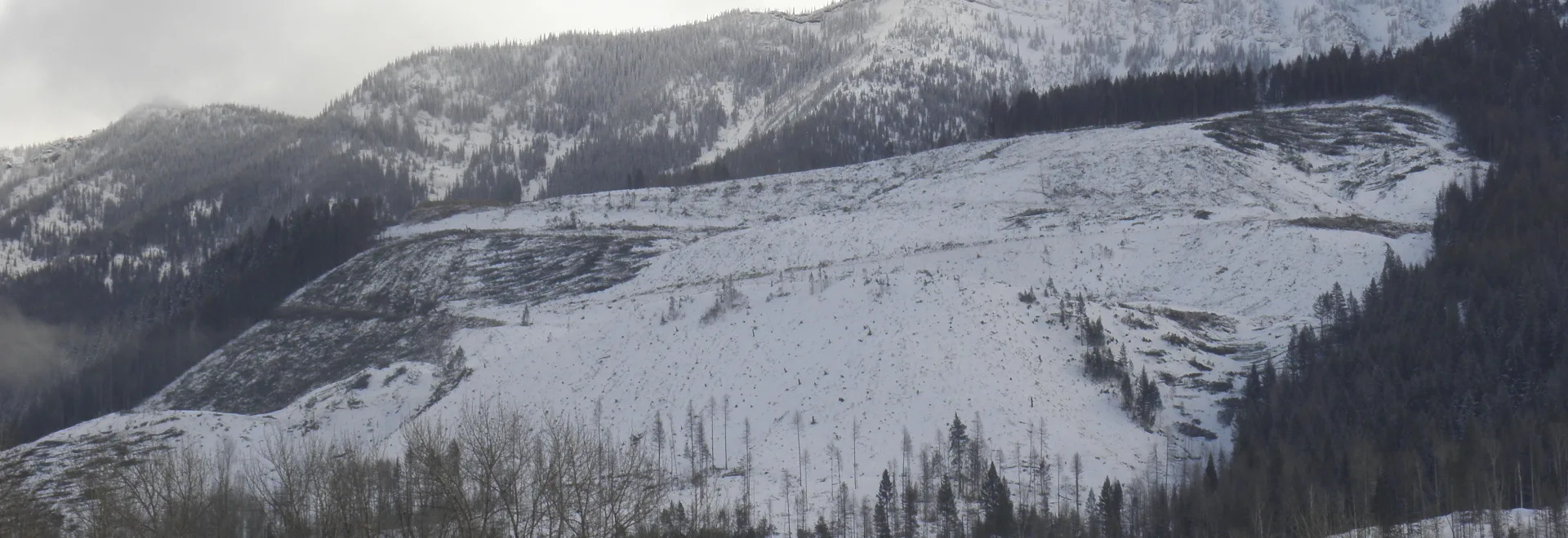 Kootenay Forest Lands