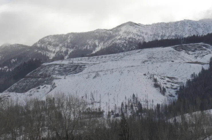 Kootenay Forest Lands