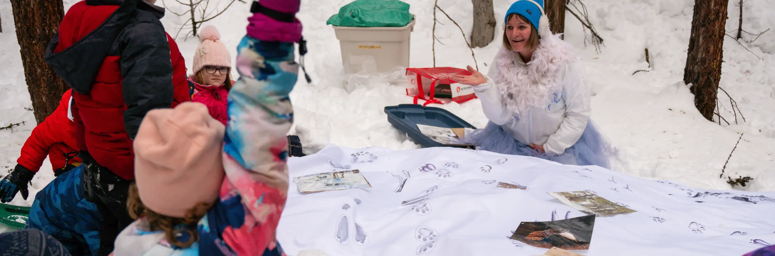 Love the wild, protect the future: From chickadees to future stewards