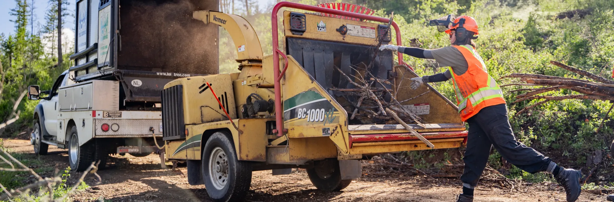 Sustainable communities