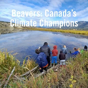 Beavers: Canada's Climate Champions